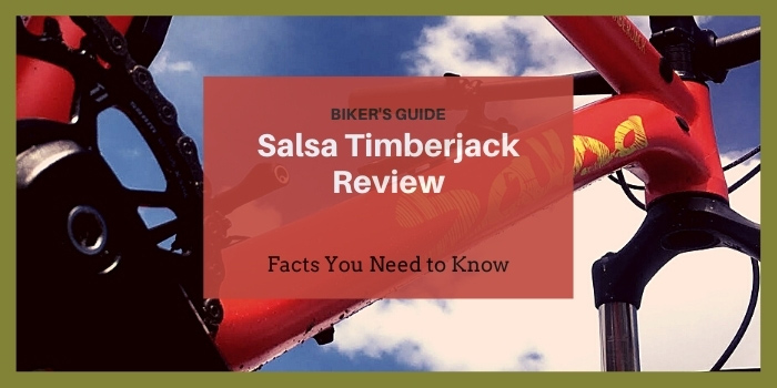salsa timberjack 2020